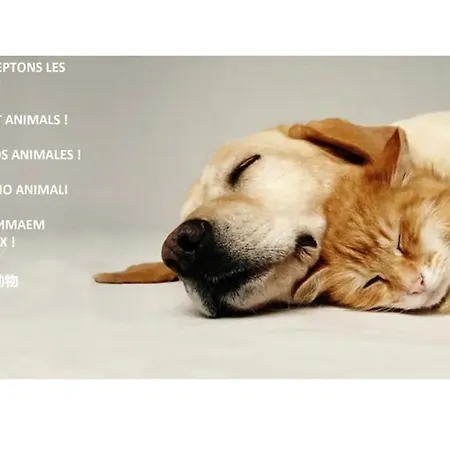 Confort ! Calme, Climatisation, Piscine, Parking Gratuit, Grande Terrasse, Netflix, Wifi