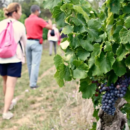 Confort ! Calme, Climatisation, Piscine, Parking Gratuit, Grande Terrasse, Netflix, Wifi Апартаменты