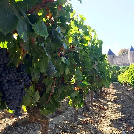 Confort ! Calme, Climatisation, Piscine, Parking Gratuit, Grande Terrasse, Netflix, Wifi *