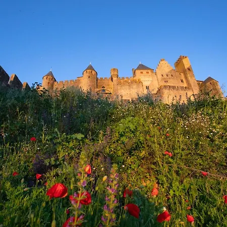 Confort ! Calme, Climatisation, Piscine, Parking Gratuit, Grande Terrasse, Netflix, Wifi * Carcassonne