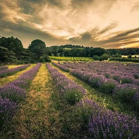 Апартаменты Confort ! Calme, Climatisation, Piscine, Parking Gratuit, Grande Terrasse, Netflix, Wifi *