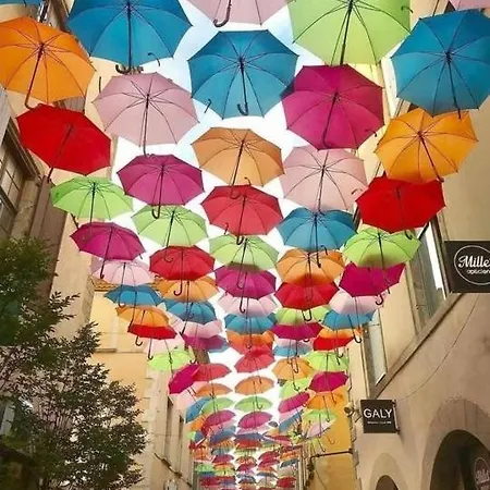 Confort ! Calme, Climatisation, Piscine, Parking Gratuit, Grande Terrasse, Netflix, Wifi * Каркассон