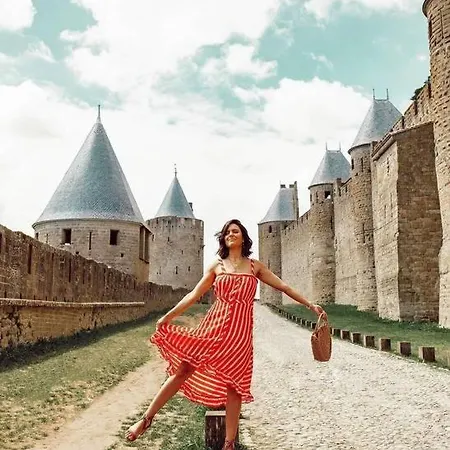 Апартаменты Confort ! Calme, Climatisation, Piscine, Parking Gratuit, Grande Terrasse, Netflix, Wifi Каркассон