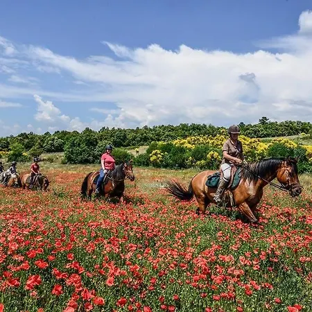 Confort ! Calme, Climatisation, Piscine, Parking Gratuit, Grande Terrasse, Netflix, Wifi * Каркассон