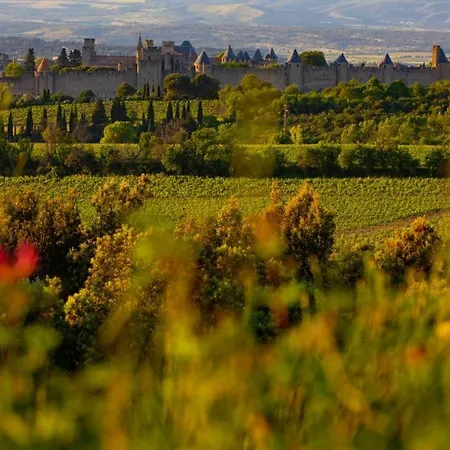 Апартаменты Confort ! Calme, Climatisation, Piscine, Parking Gratuit, Grande Terrasse, Netflix, Wifi Каркассон